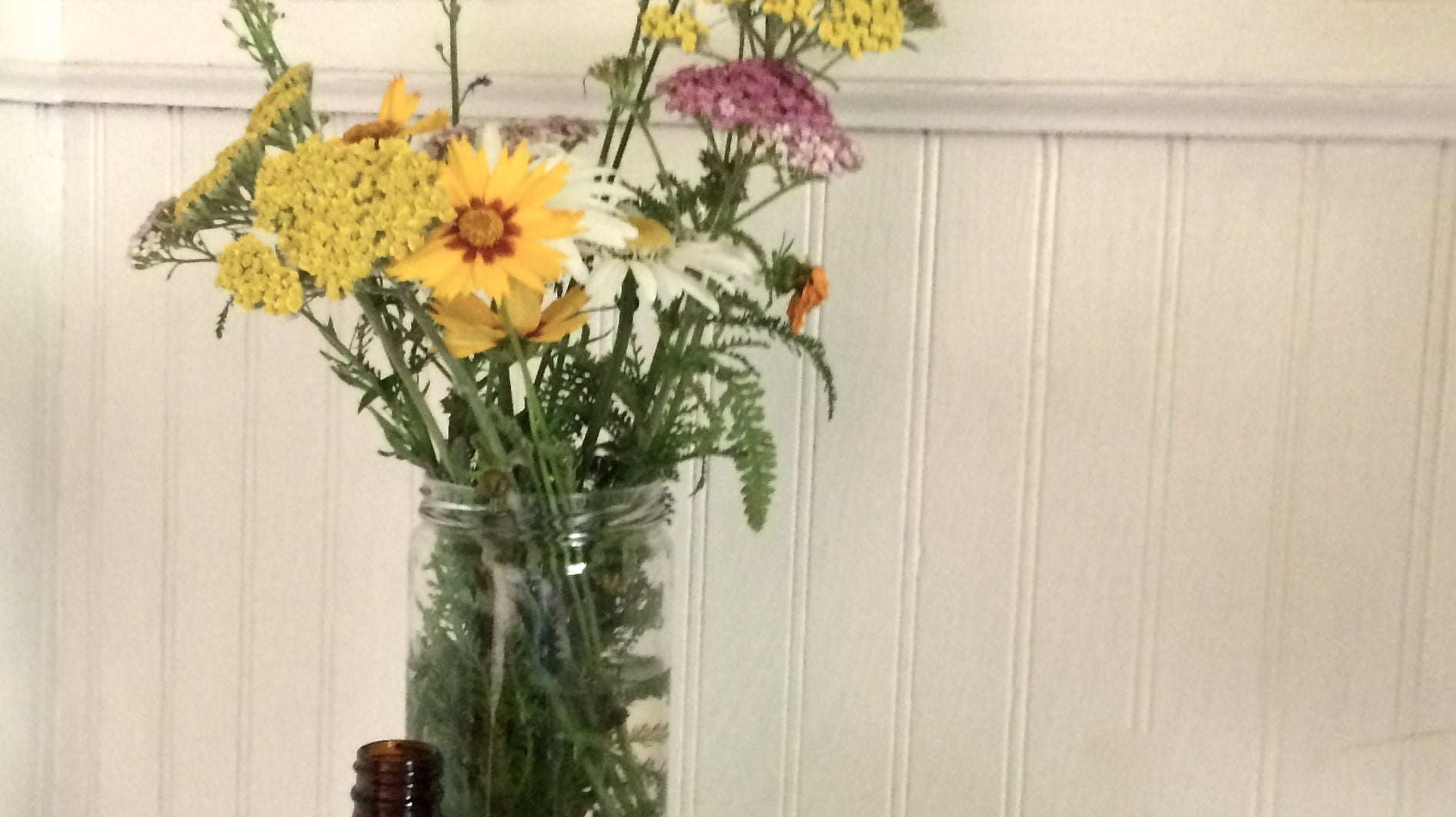 Essential Oil Combinations for Cleaning - Dreaming Earth Inc