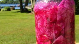 Make Your Own Rose Oil - Dreaming Earth Inc