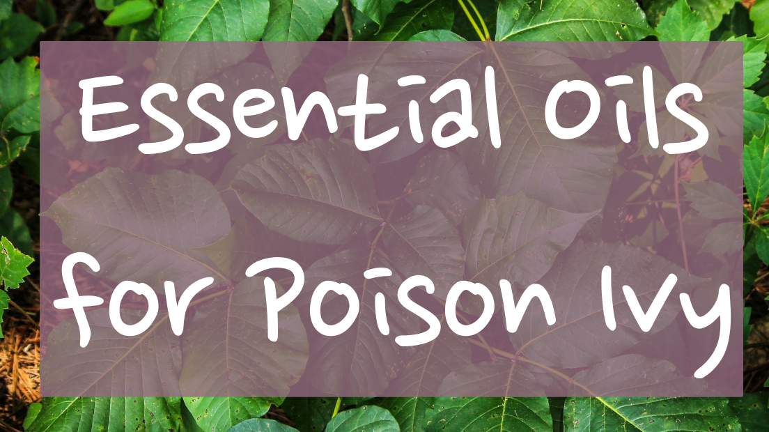 Essential Oils for Poison Ivy - Dreaming Earth Inc