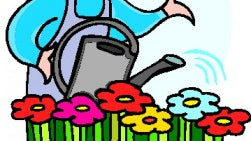 How to Use Neem Oil for Plants - Dreaming Earth Inc