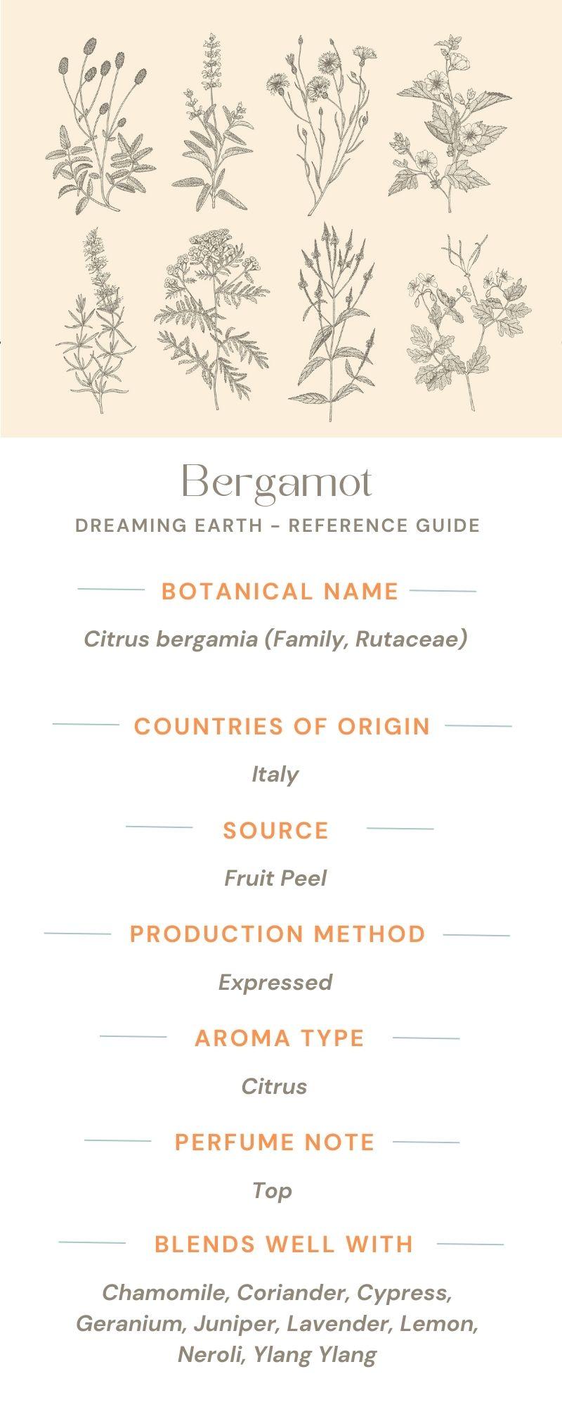 Bergamot FCF Essential Oil - Dreaming Earth Inc