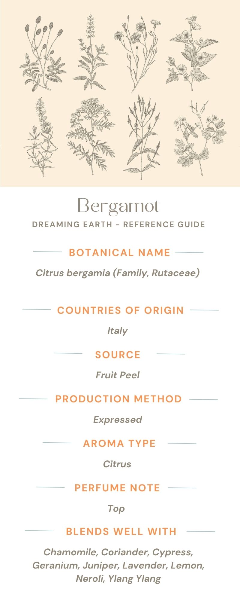 Bergamot FCF Essential Oil - Dreaming Earth Inc
