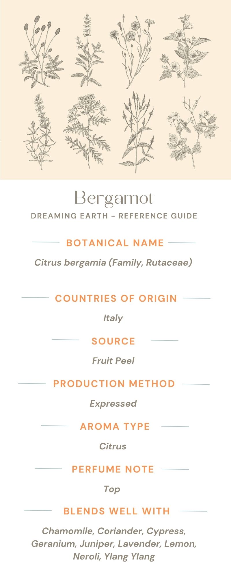 Load image into Gallery viewer, Bergamot FCF Organic Essential Oil - Dreaming Earth Inc
