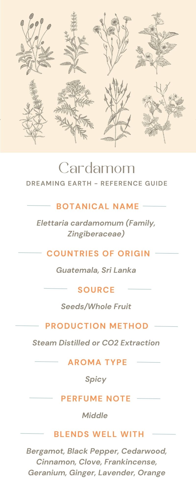Load image into Gallery viewer, Cardamom Organic Essential Oil
