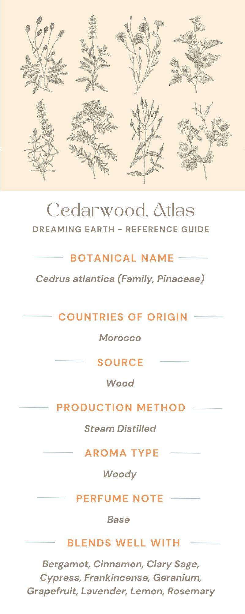 Cedarwood Organic Essential Oil - Dreaming Earth Inc