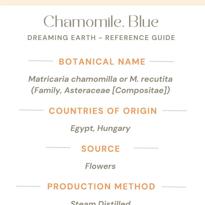 Chamomile, Blue (German) Essential Oil - Dreaming Earth Inc