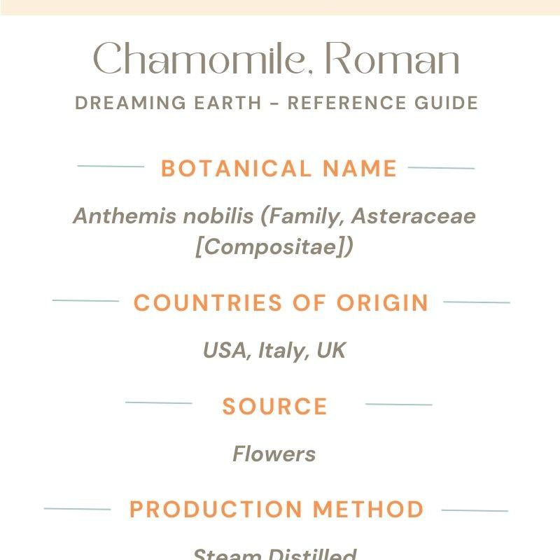 Chamomile, Roman Essential Oil - Dreaming Earth Inc