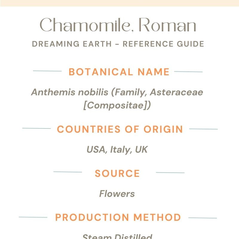 Chamomile, Roman Essential Oil - Dreaming Earth Inc