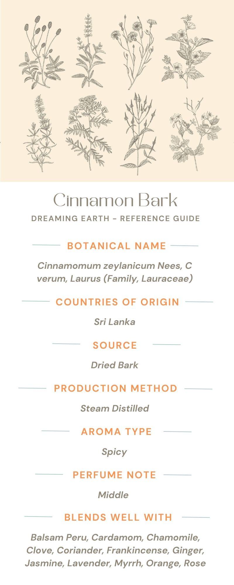 Cinnamon Bark Organic Essential Oil - Dreaming Earth Inc