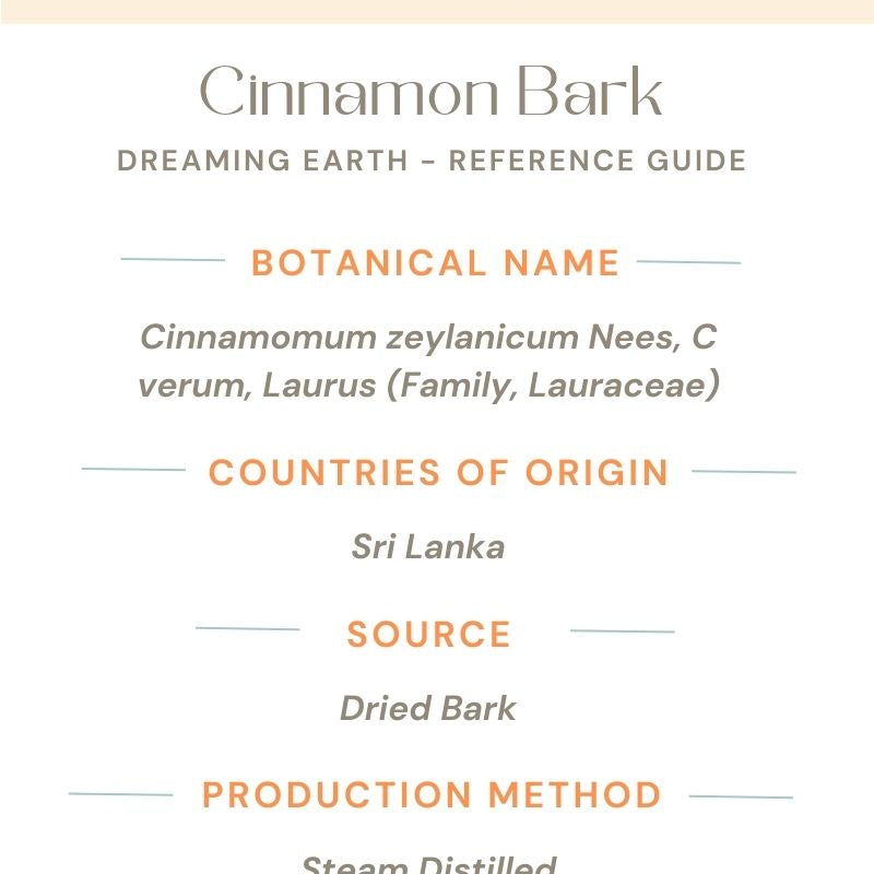 Cinnamon Bark Organic Essential Oil - Dreaming Earth Inc