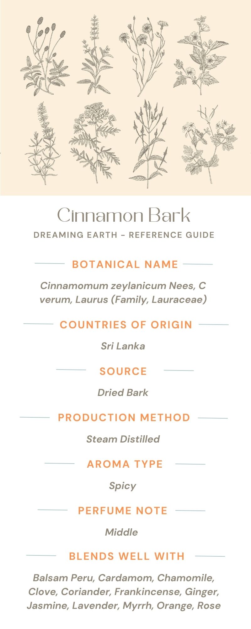 Cinnamon Bark Essential Oil - Dreaming Earth Inc
