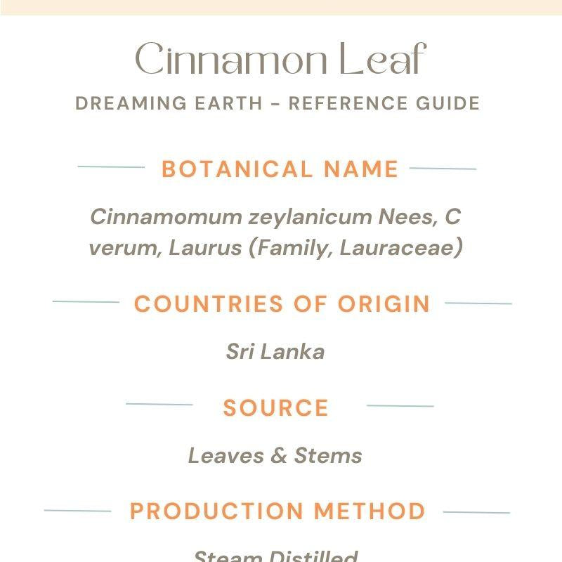Cinnamon Leaf Organic Essential Oil - Dreaming Earth Inc
