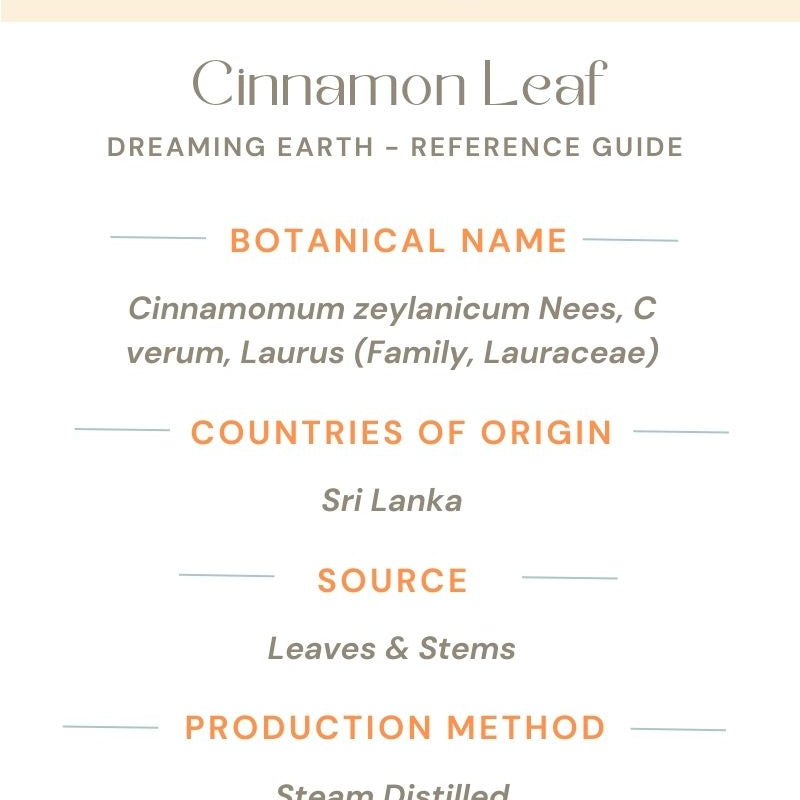 Cinnamon Leaf Organic Essential Oil - Dreaming Earth Inc