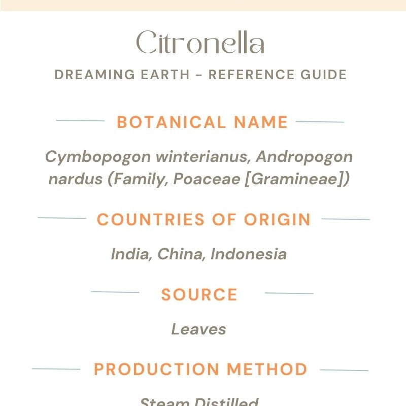 Citronella Essential Oil - Dreaming Earth Inc