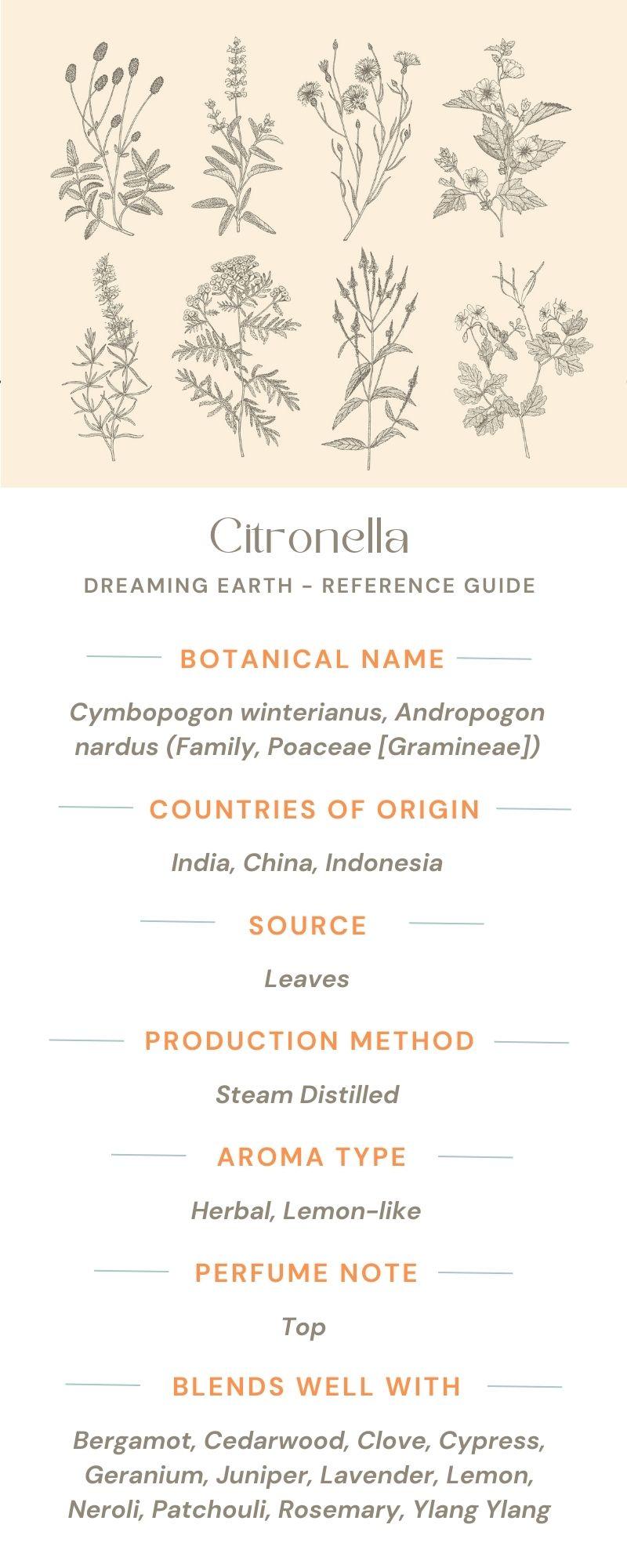 Citronella Organic Essential Oil - Dreaming Earth Inc