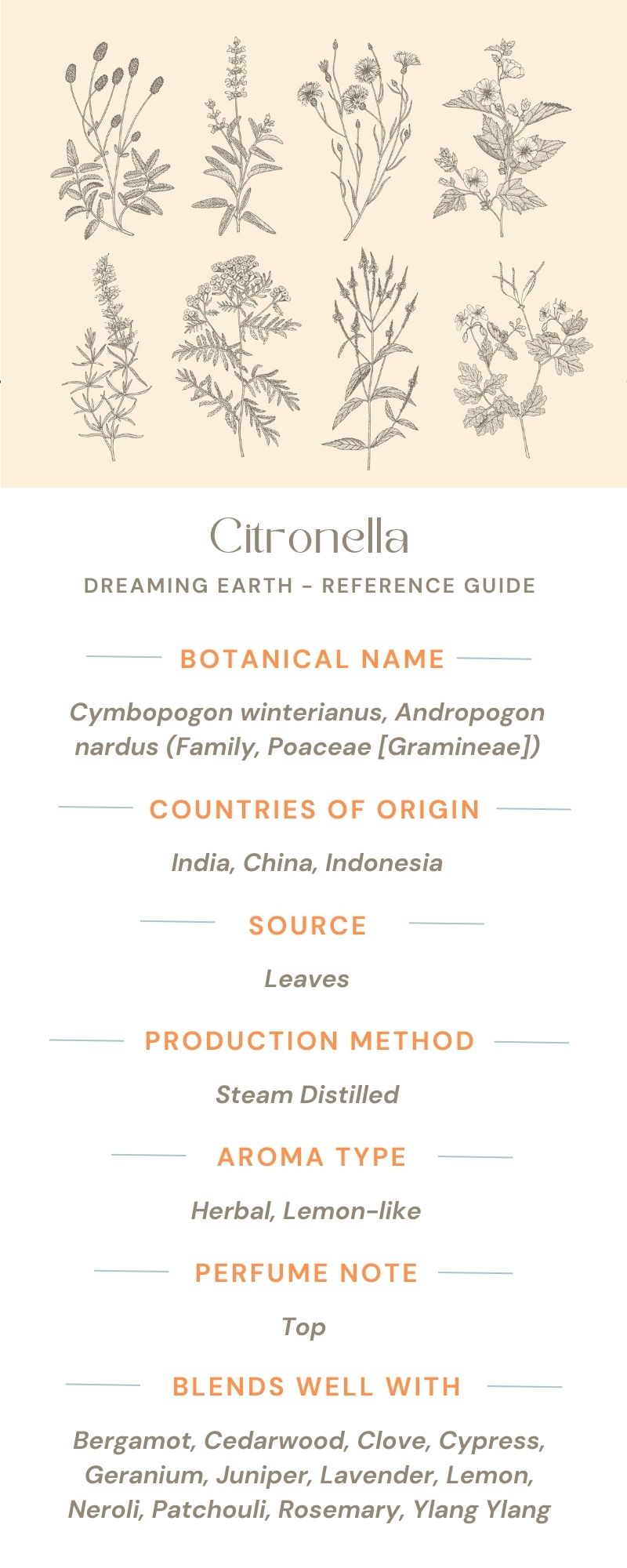 Citronella Organic Essential Oil - Dreaming Earth Inc