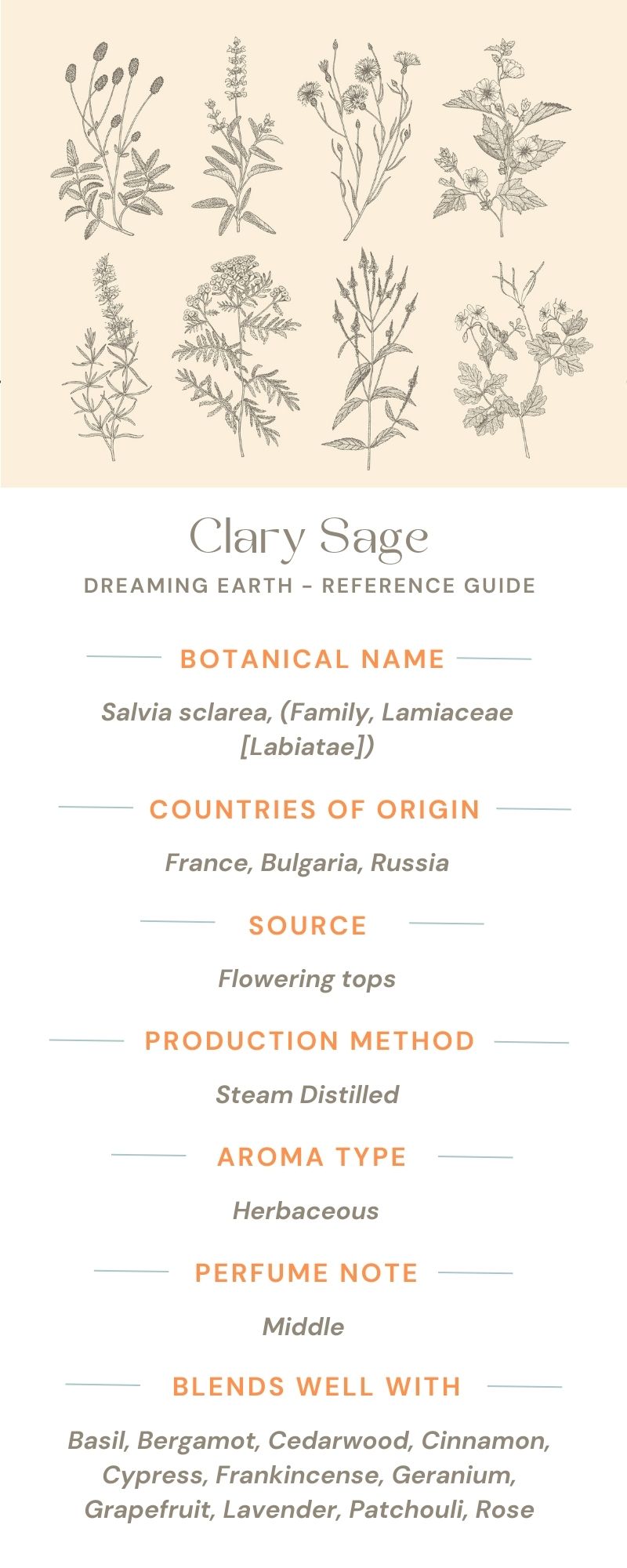 Clary Sage Organic Essential Oil - Dreaming Earth Inc