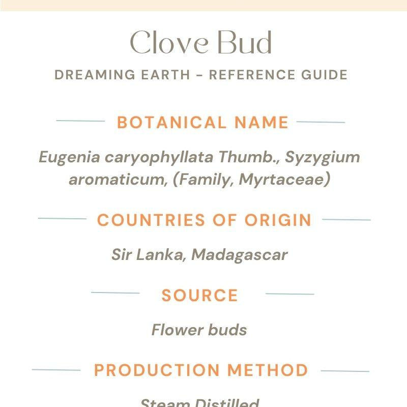 Clove Bud Essential Oil - Dreaming Earth Inc