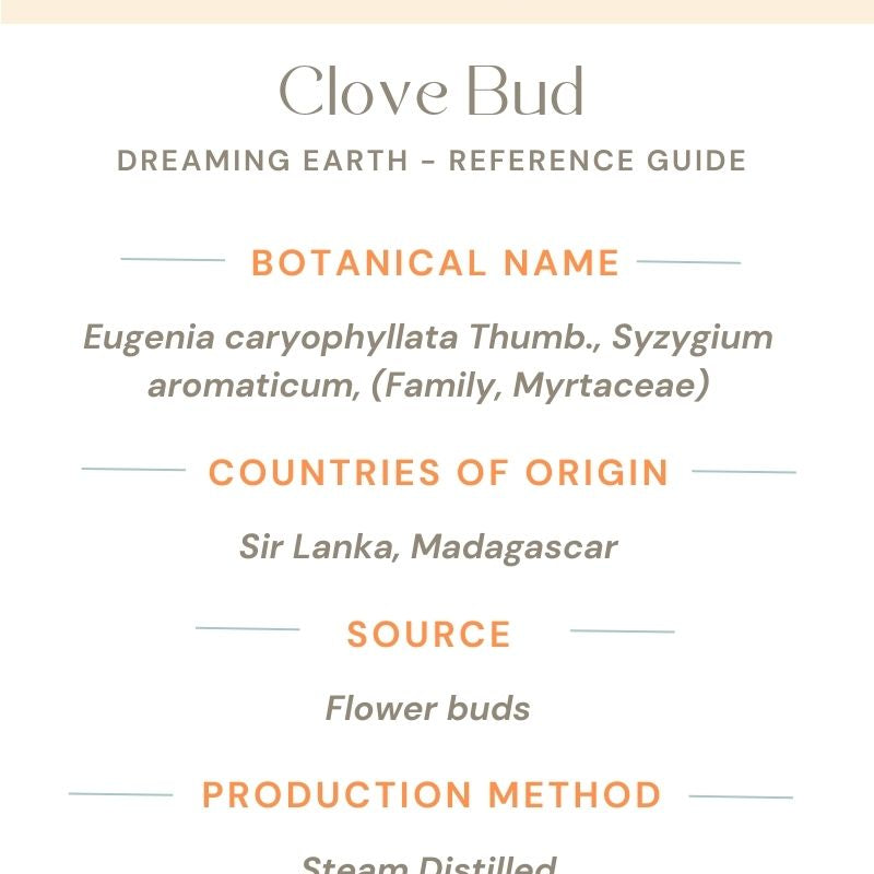 Clove Bud Essential Oil - Dreaming Earth Inc