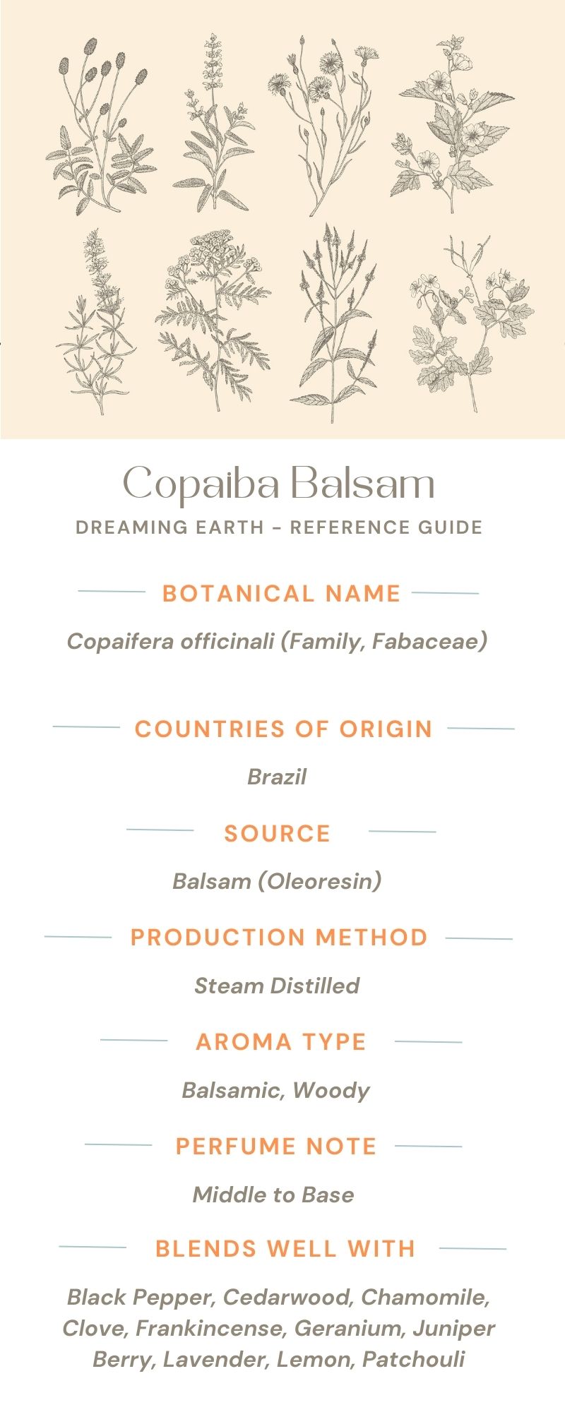 Load image into Gallery viewer, Copaiba Balsam Essential Oil
