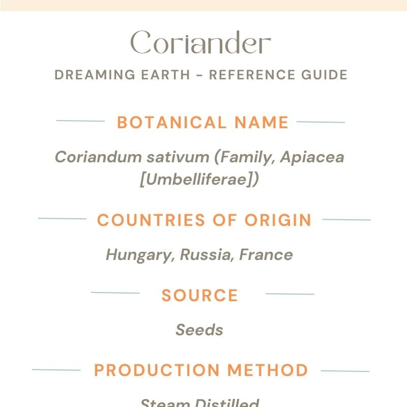 Coriander Essential Oil - Dreaming Earth Inc