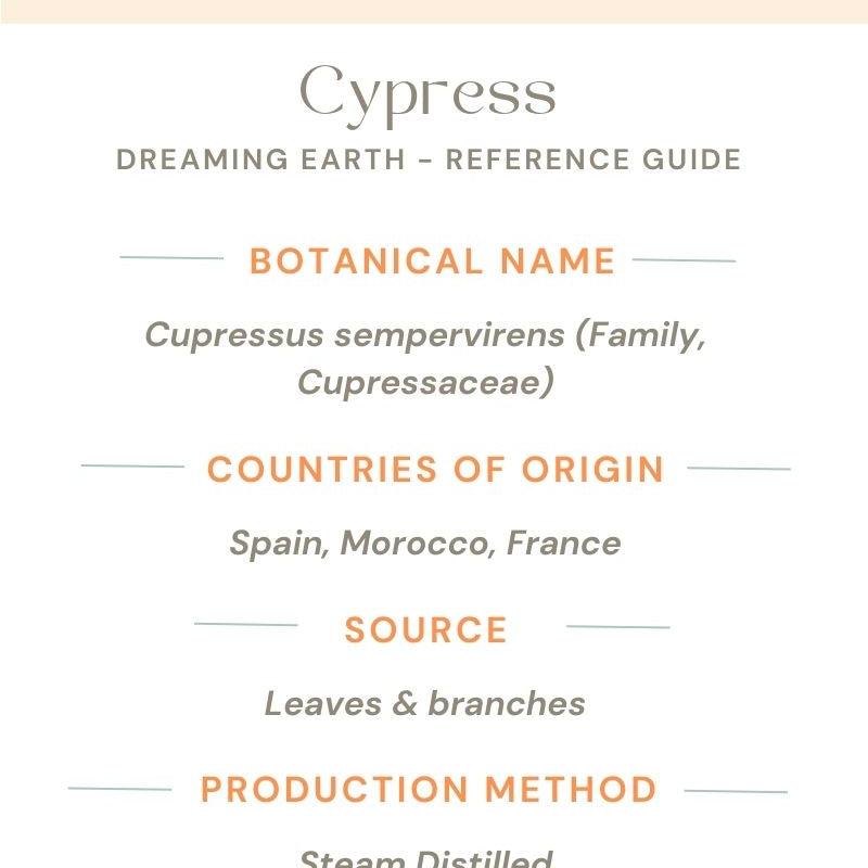 Cypress Essential Oil - Dreaming Earth Inc