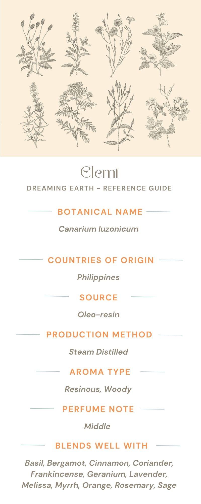 Elemi Essential Oil - Dreaming Earth Inc