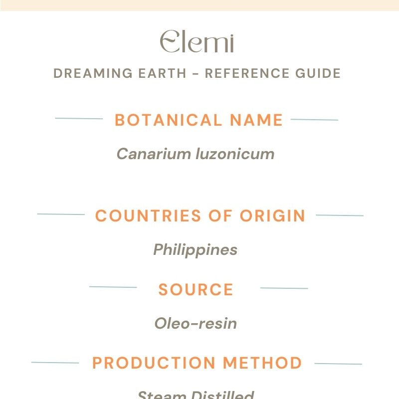 Elemi Essential Oil - Dreaming Earth Inc