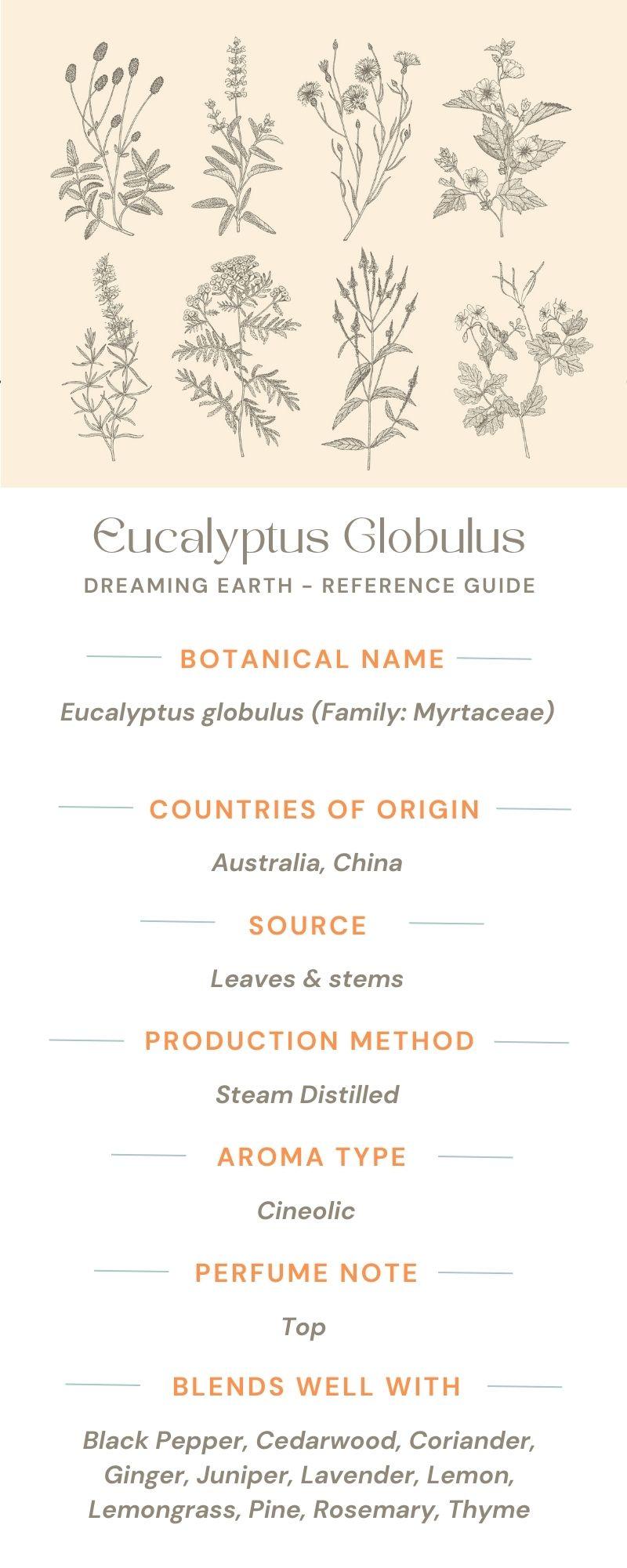 Load image into Gallery viewer, Eucalyptus Globulus Essential Oil - Dreaming Earth Inc
