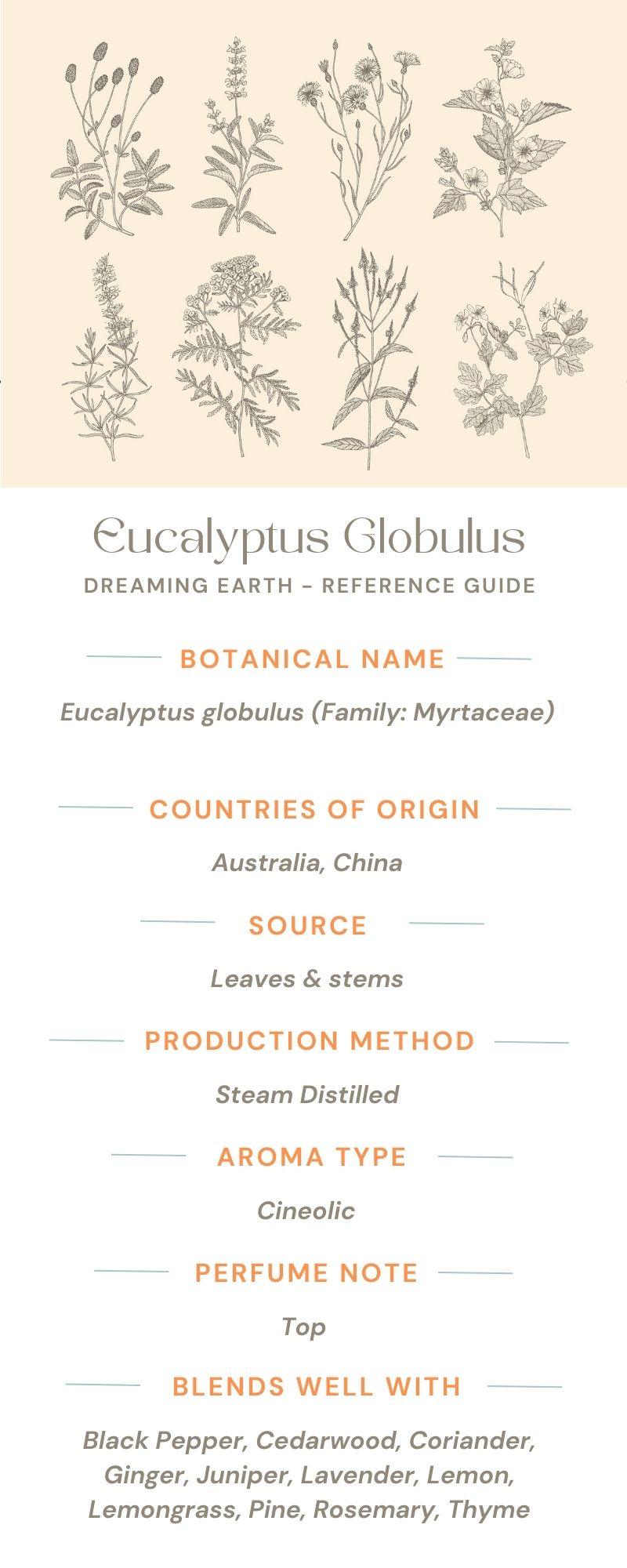 Eucalyptus Globulus Organic Essential Oil - Dreaming Earth Inc