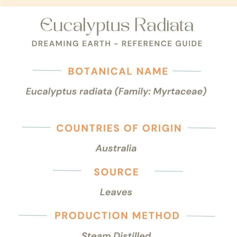 Eucalyptus Radiata Essential Oil - Dreaming Earth Inc