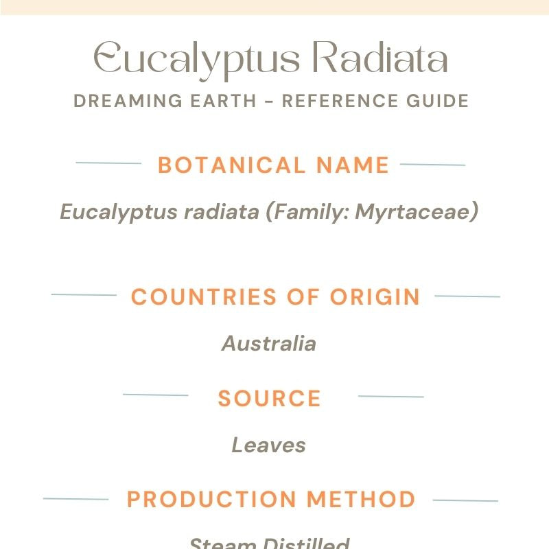 Eucalyptus Radiata Essential Oil - Dreaming Earth Inc