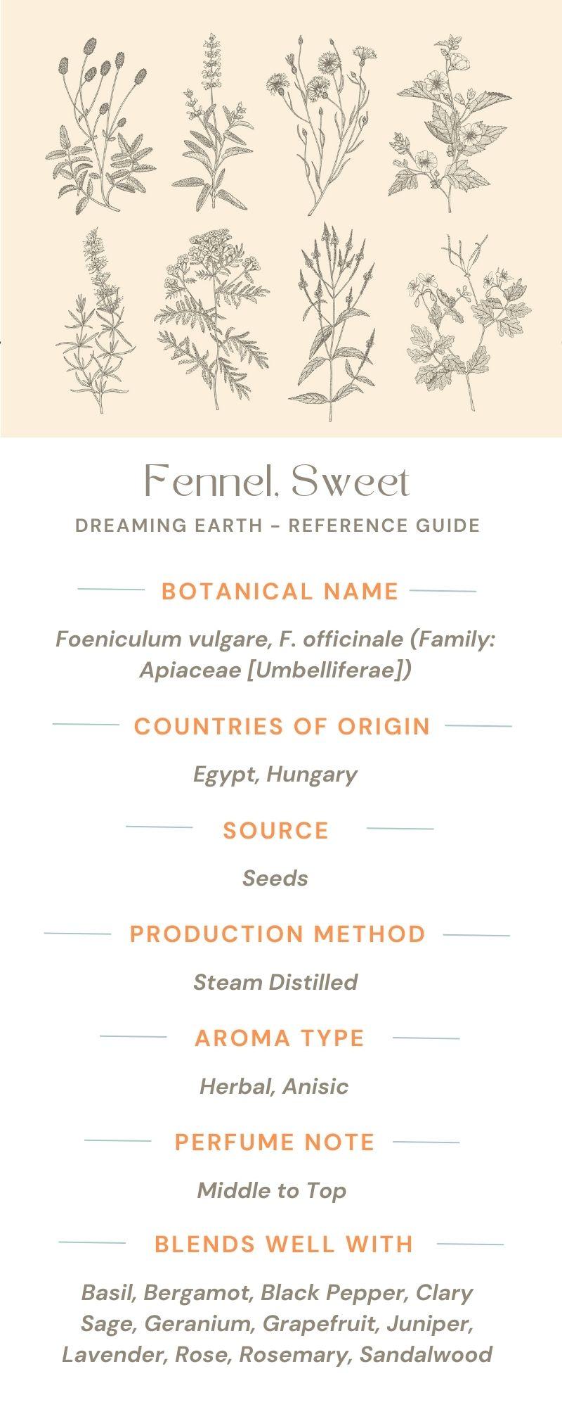 Fennel, Sweet Essential Oil - Dreaming Earth Inc