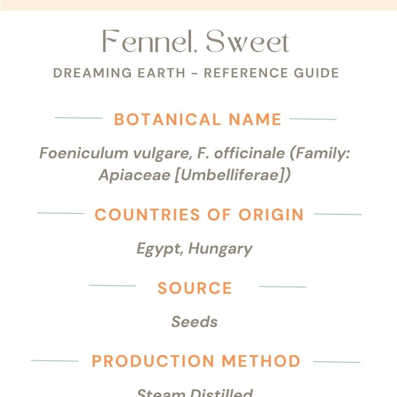 Fennel, Sweet Essential Oil - Dreaming Earth Inc