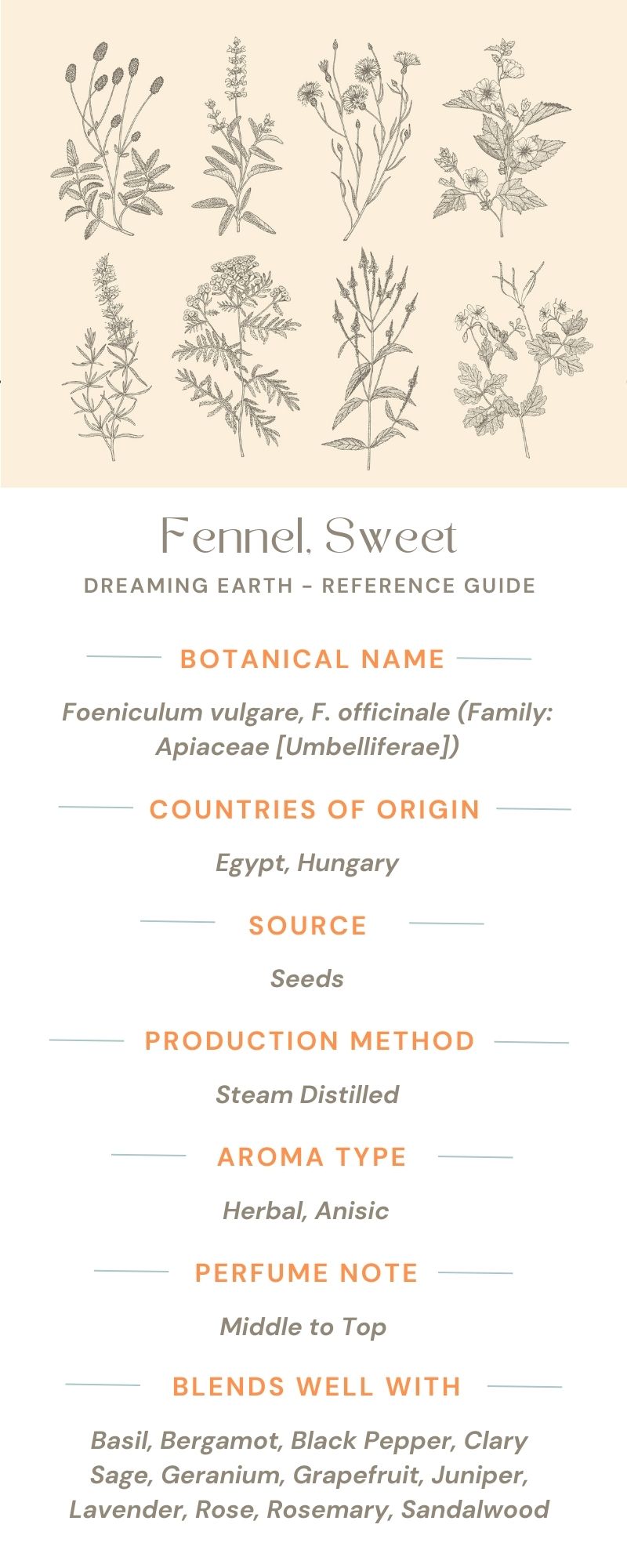 Load image into Gallery viewer, Fennel, Sweet Essential Oil - Dreaming Earth Inc
