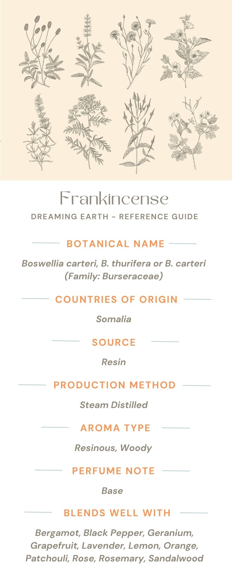 Frankincense Essential Oil - Dreaming Earth Inc
