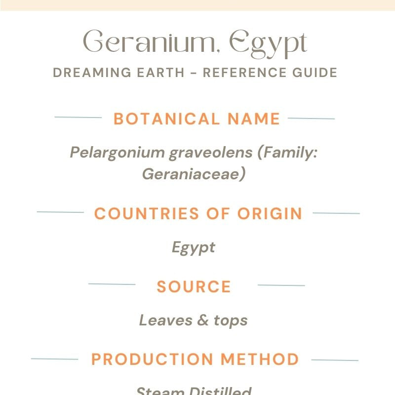 Geranium, Egypt - Organic Essential Oil - Dreaming Earth Inc