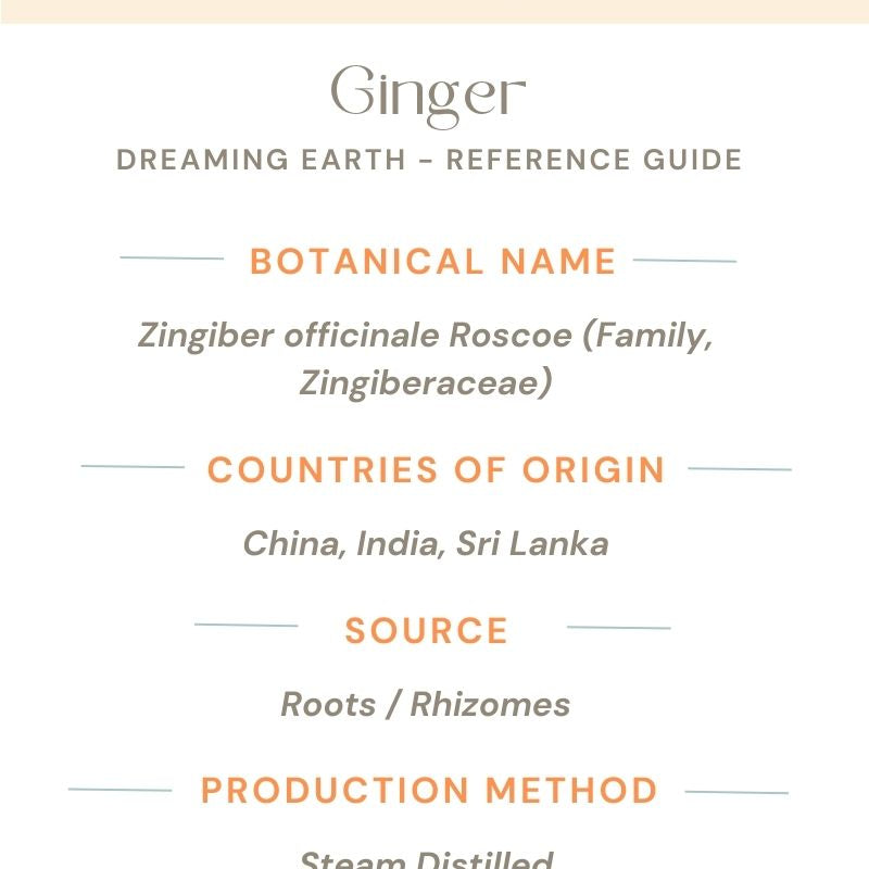 Ginger Essential Oil - Dreaming Earth Inc
