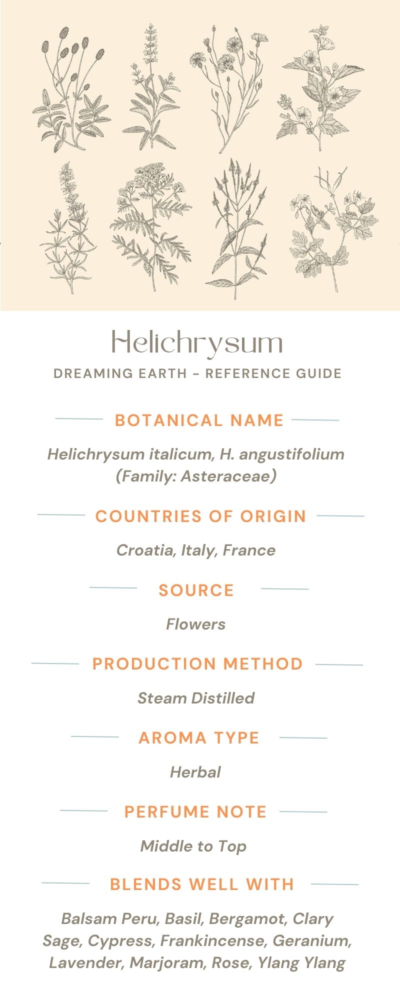 Helichrysum Organic Essential Oil - Dreaming Earth Inc