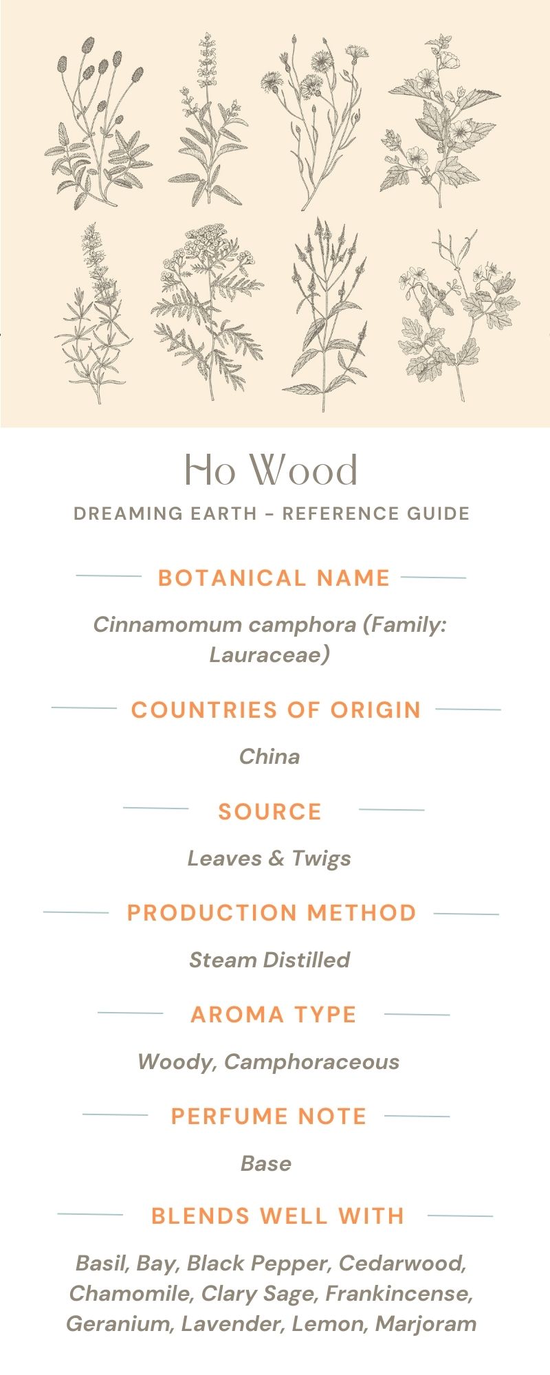 Ho Wood Organic Essential Oil - Dreaming Earth Inc
