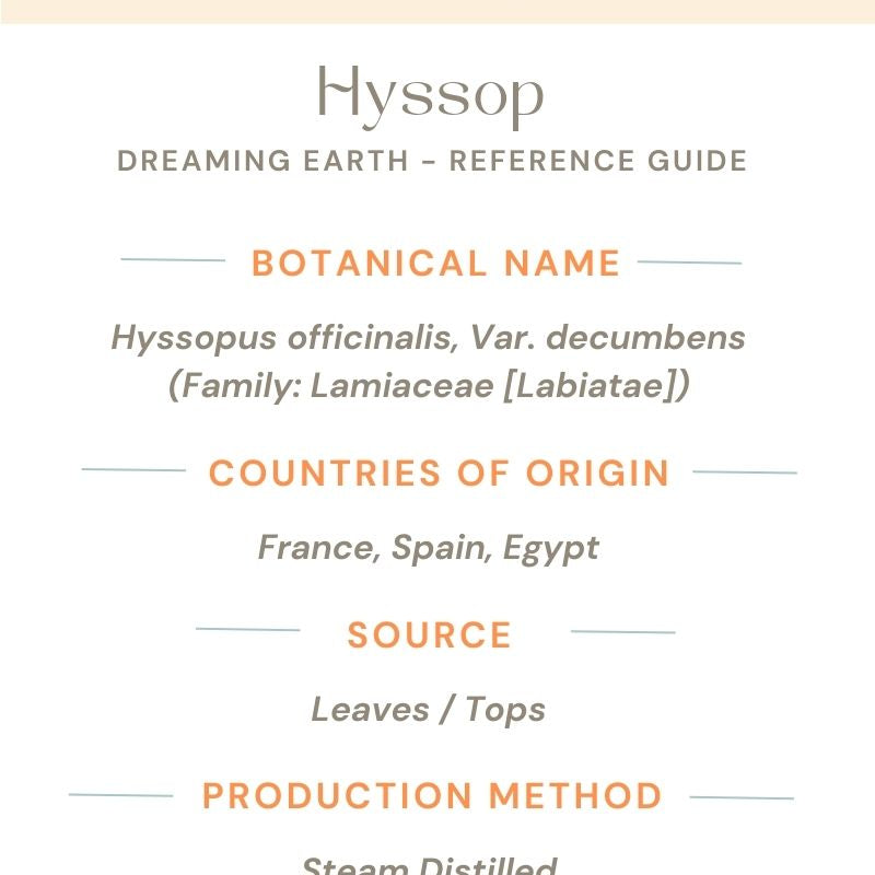 Hyssop Essential Oil - Dreaming Earth Inc