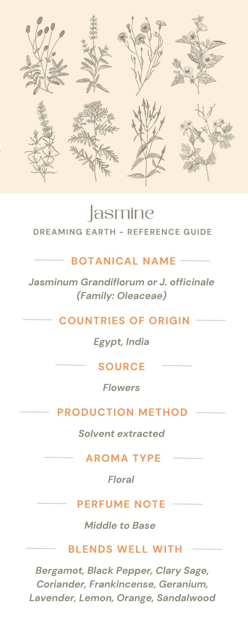 Jasmine Absolute 5% Essential Oil - Dreaming Earth Inc