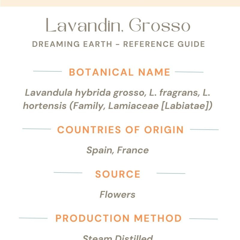 Lavandin Essential Oil - Dreaming Earth Inc