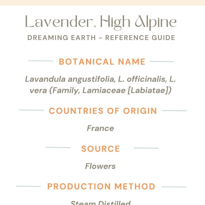 Lavender, High Alpine Essential Oil - Dreaming Earth Inc
