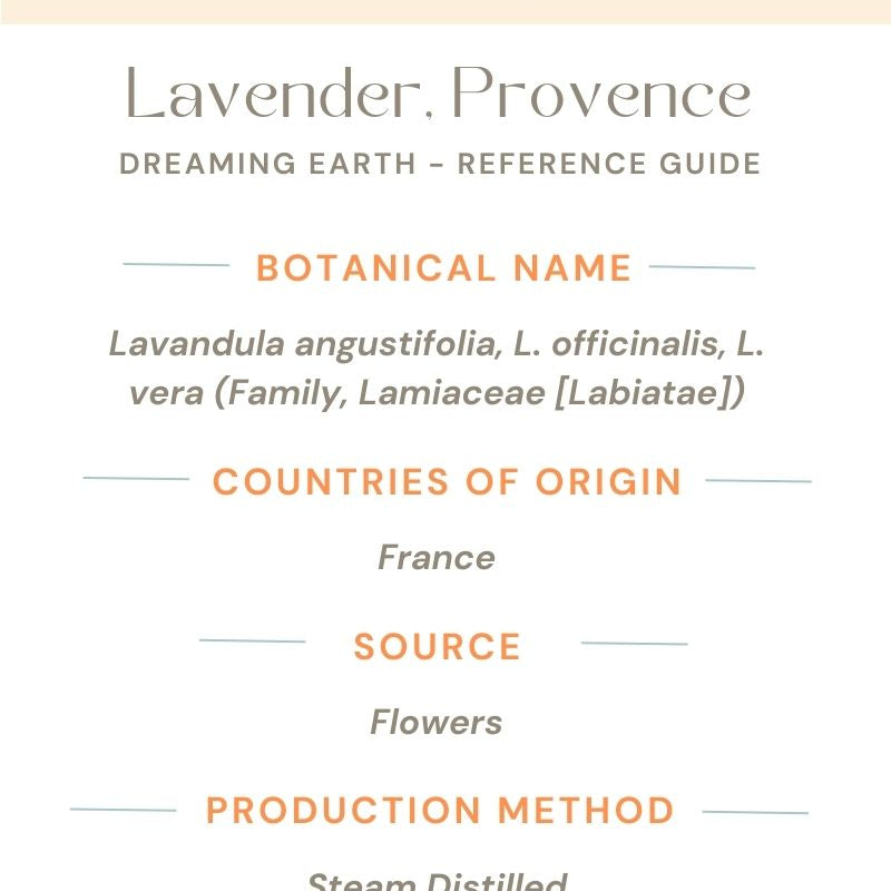 Lavender Provence - Organic Essential Oil - Dreaming Earth Inc