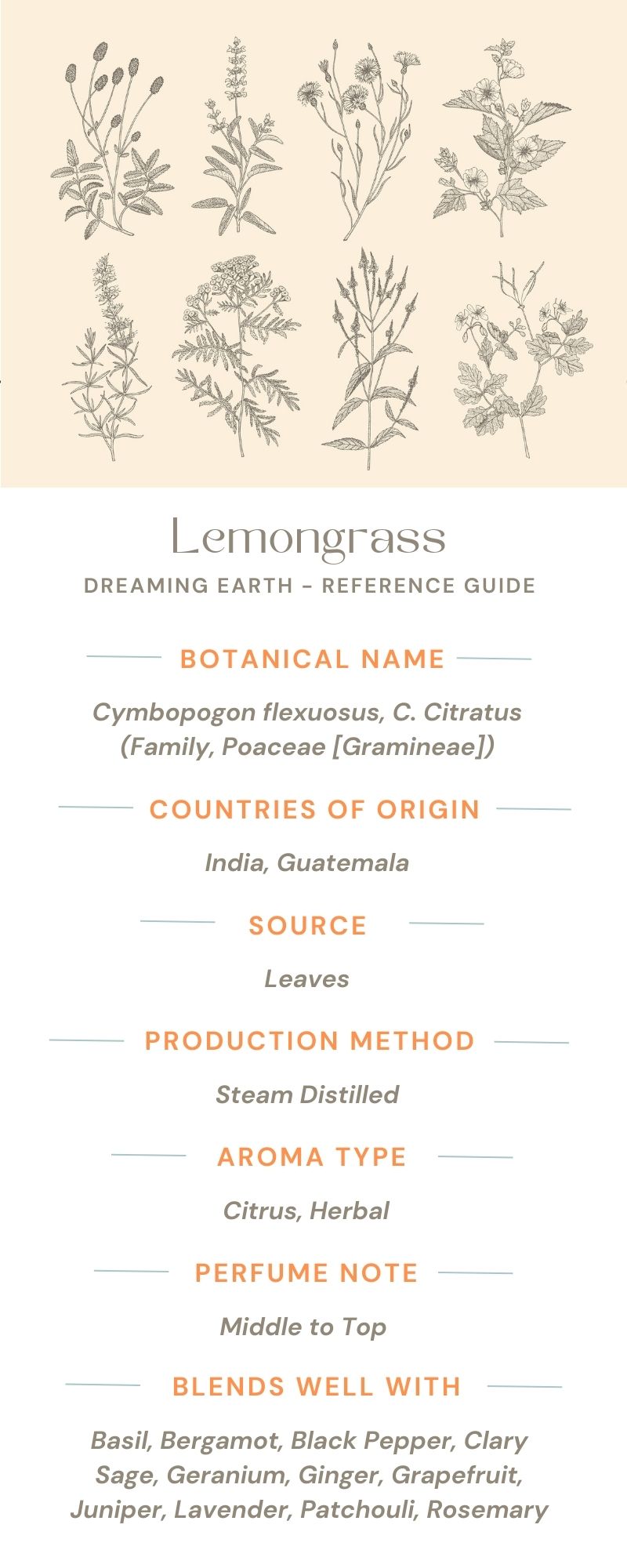 Lemongrass Essential Oil - Dreaming Earth Inc