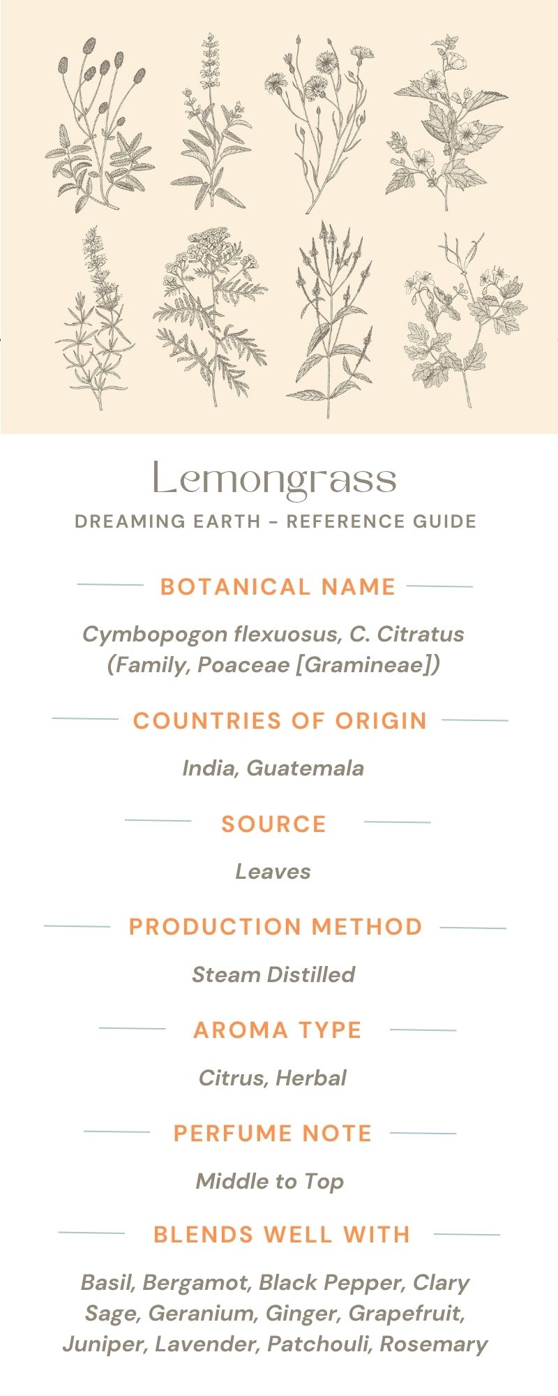 Load image into Gallery viewer, Lemongrass Organic Essential Oil - Dreaming Earth Inc
