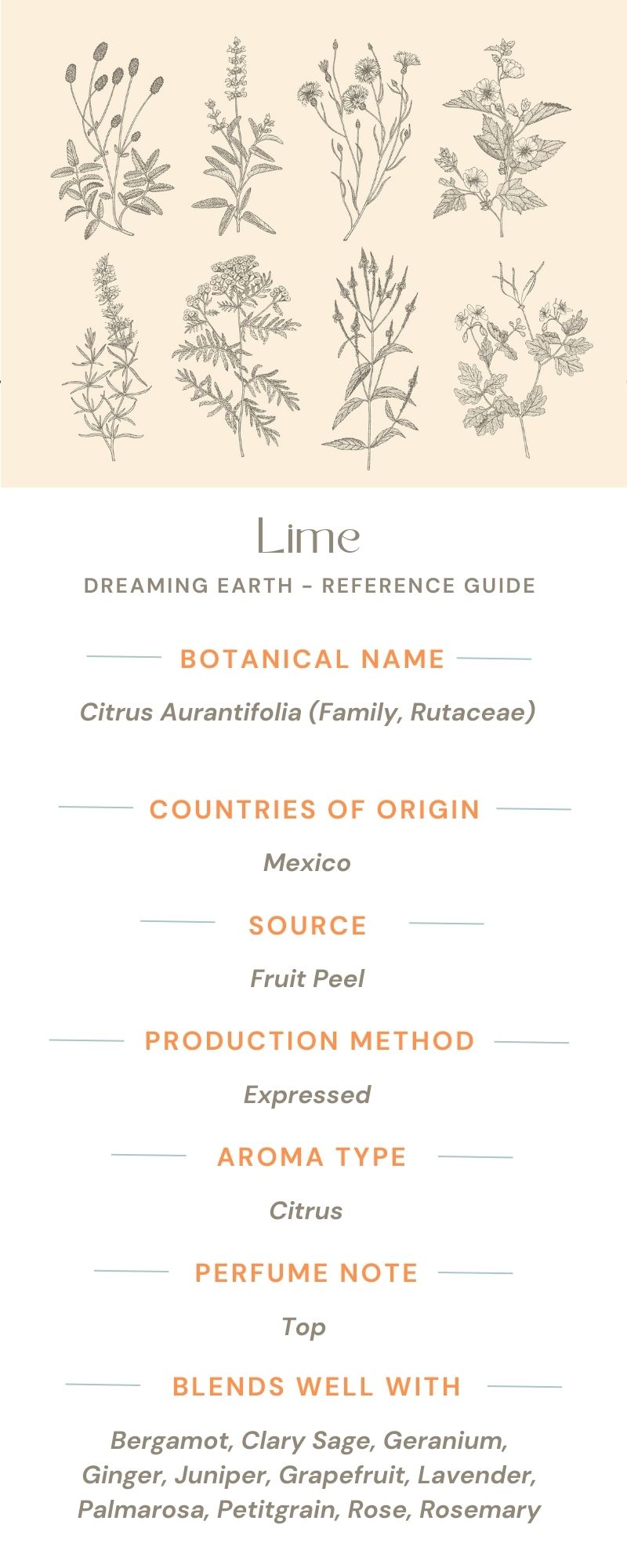 Lime Organic Essential Oil - Dreaming Earth Inc