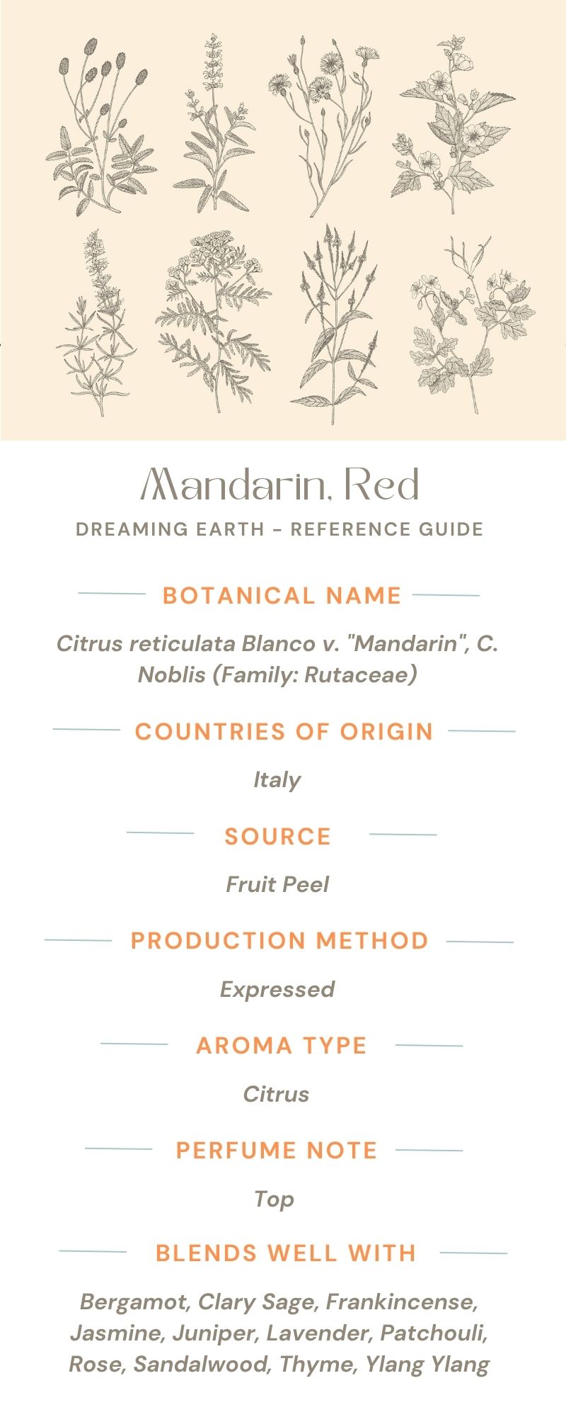 Mandarin Essential Oil (Red) - Dreaming Earth Inc