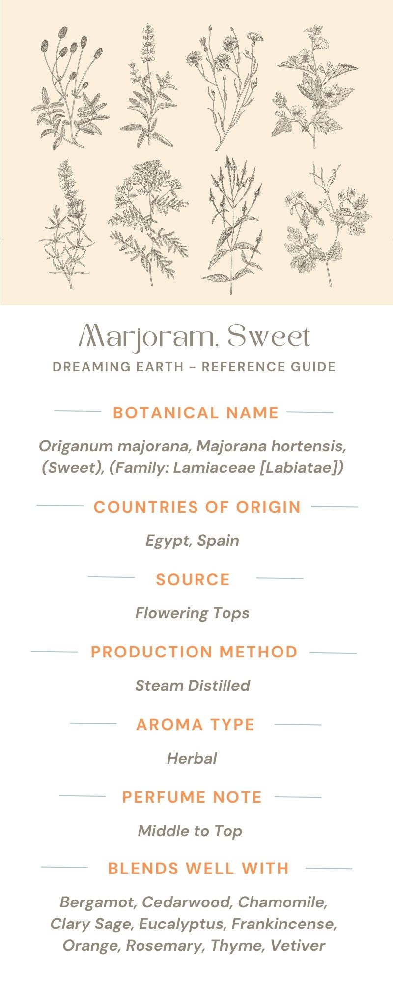 Marjoram Sweet, Organic Essential Oil - Dreaming Earth Inc